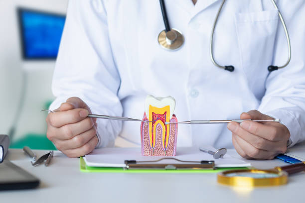 Best Emergency Denture Repair in White House Station, NJ